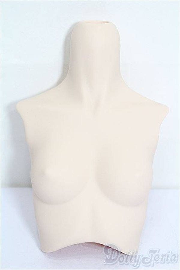 画像1: DD/上半身パーツ L胸（DD2-B-02） S-25-12-28-302-TO-ZS (1)