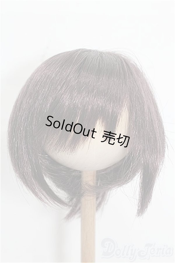 画像1: 8-9inch/ウィッグ S-25-12-28-348-TO-ZS (1)