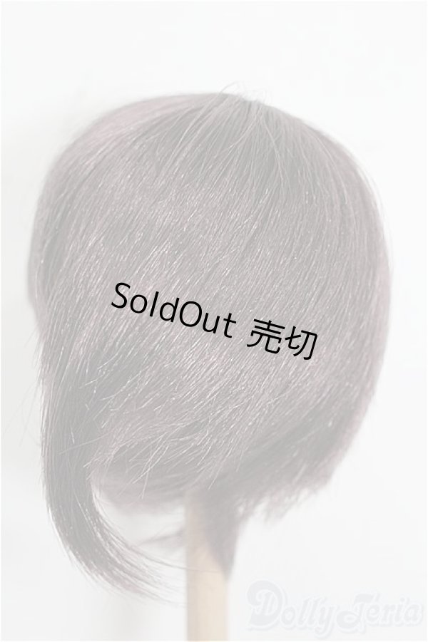 画像2: 8-9inch/ウィッグ S-25-12-28-348-TO-ZS (2)