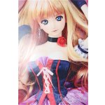 画像: DDS/OF:シェリルの衣装セット ライオン S-25-11-30-260-TO-ZS