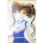 画像: DD/OF ドリームブルーチアセット(VOLKS製) S-25-11-16-264-TO-ZS