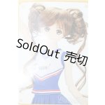 画像: DD/OF ドリームブルーチアセット(VOLKS製) S-25-11-16-264-TO-ZS