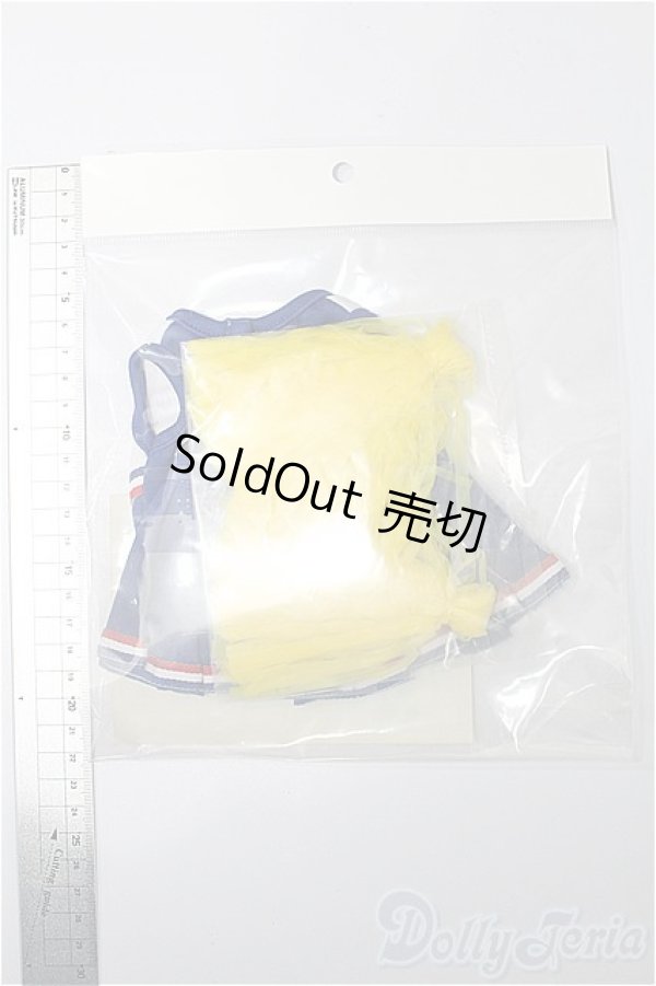 画像3: DD/OF ドリームブルーチアセット(VOLKS製) S-25-11-16-264-TO-ZS (3)