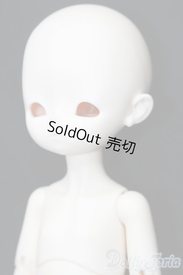 画像2: 分界線 S-25-11-09-207-TO-ZS (2)