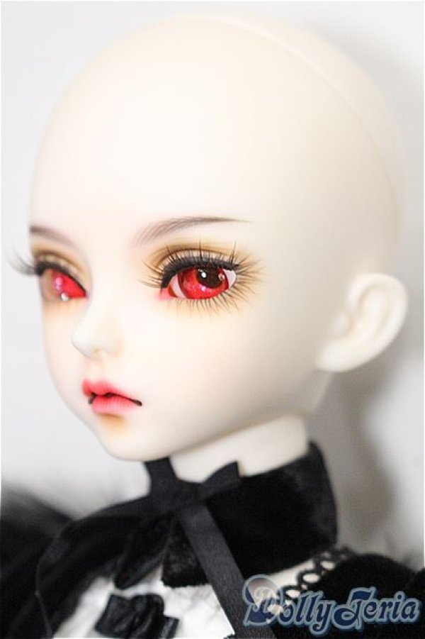 画像4: ローゼンメイデン/水銀燈 キャストドール　DOLKコラボ S-25-11-16-300-TO-ZS (4)