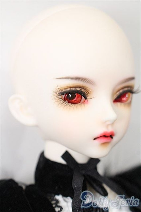 画像5: ローゼンメイデン/水銀燈 キャストドール　DOLKコラボ S-25-11-16-300-TO-ZS (5)