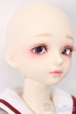 画像4: MYOU DOLL/1/4/櫻Delia 2019 ver. Limited S-25-11-16-053-TO-ZS (4)