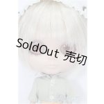 画像: ネオフ゛ライス/カスタム本体 S-25-11-16-211-YB-ZS