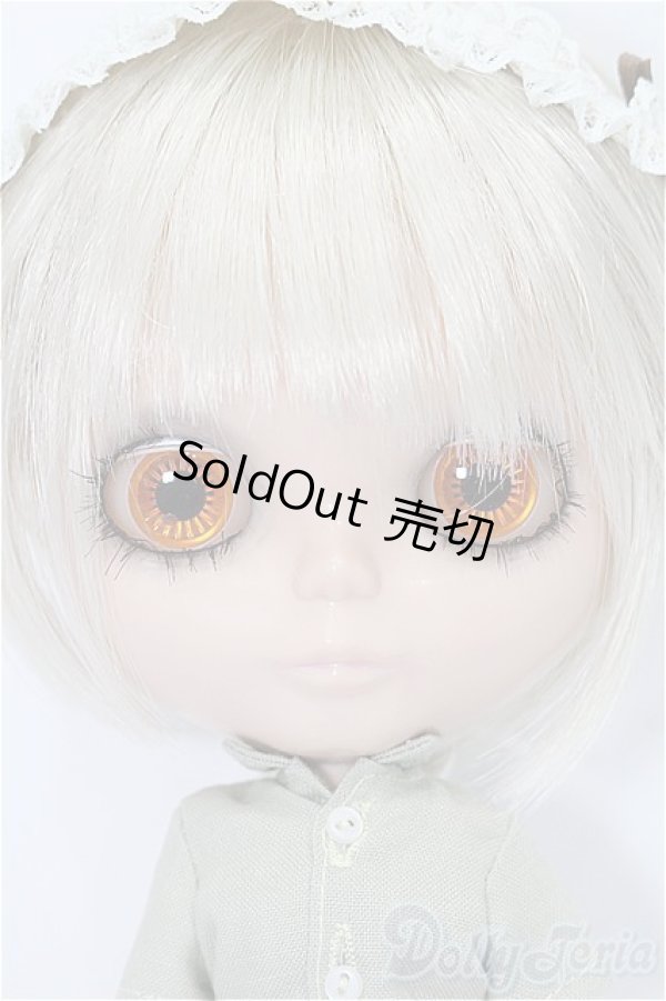 画像3: ネオフ゛ライス/カスタム本体 S-25-11-16-211-YB-ZS (3)