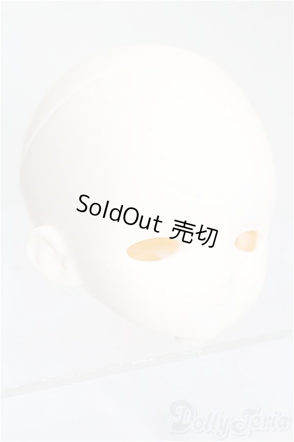 画像3: TinyFox/1/4 D-09ヘッド S-26-03-22-454-TO-ZS (3)