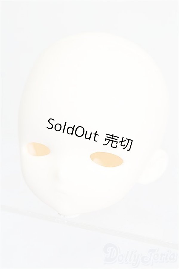 画像2: TinyFox/1/4 D-09ヘッド S-26-03-22-453-TO-ZS (2)
