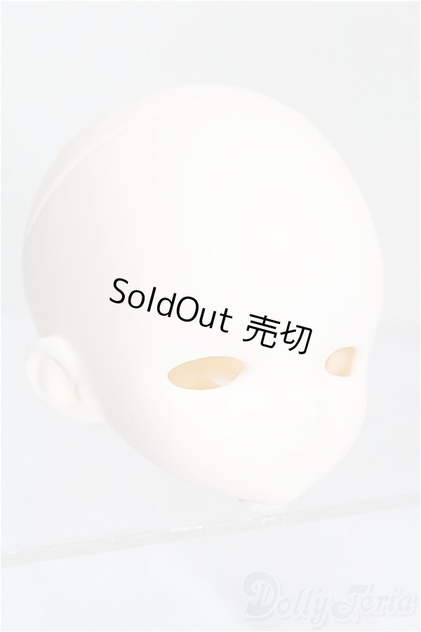 画像3: TinyFox/1/4 D-09ヘッド S-26-03-22-453-TO-ZS (3)