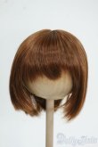 画像1: 8-9inch/ウィッグ Y-25-12-10-085-TO-ZY (1)