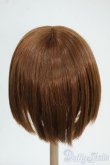 画像2: 8-9inch/ウィッグ Y-25-12-10-085-TO-ZY (2)