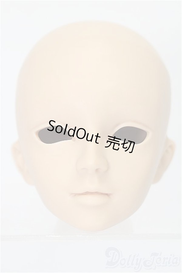 画像1: SD/フルチョイスヘッド F-40 S-25-11-16-259-TO-ZS (1)