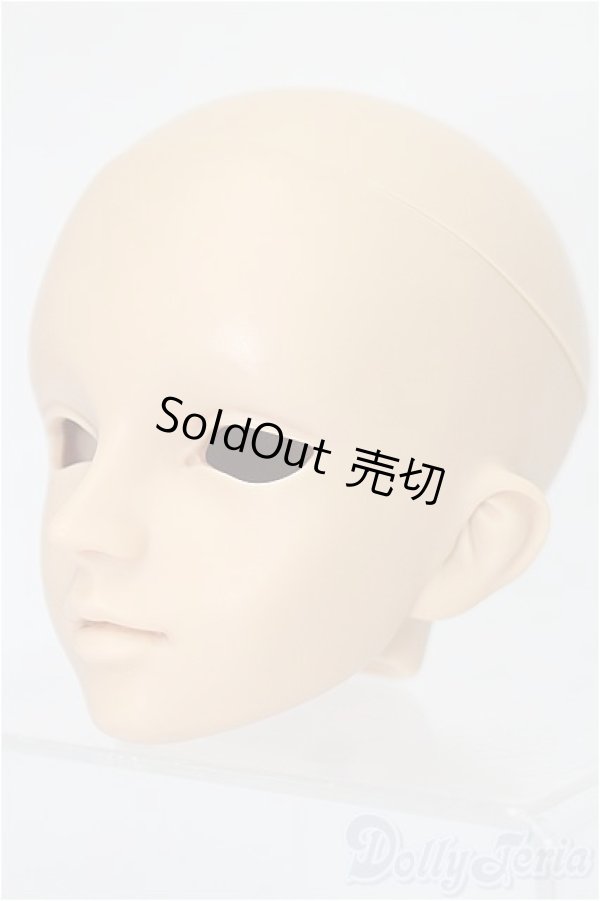 画像2: SD/フルチョイスヘッド F-40 S-25-11-16-259-TO-ZS (2)