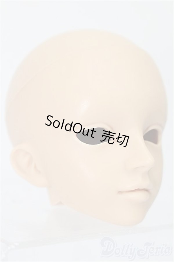 画像3: SD/フルチョイスヘッド F-40 S-25-11-16-259-TO-ZS (3)