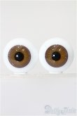画像1: 21mm/グラスアイ S-25-11-16-284-TO-ZS (1)