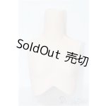 画像: パラボックス/40・45cm女の子ボディ用交換パーツ S-25-11-16-216-TO-ZS