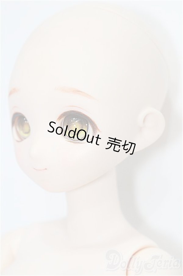 画像2: PARABOX/40cmサイズドール S-26-01-11-113-TO-ZS (2)