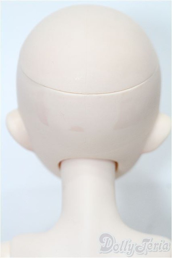 画像4: PARABOX/40cmサイズドール S-26-01-11-113-TO-ZS (4)