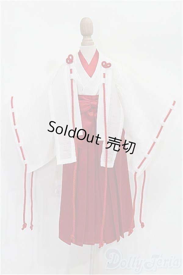 画像1: SDM＆MSD/OF:衣装セット S-25-11-23-108-TO-ZS (1)