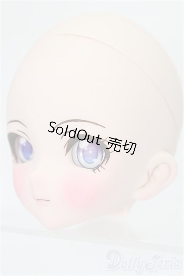 画像2: DD/DDH-10:カスタムメイクヘッド S-25-11-23-064-TO-ZS (2)