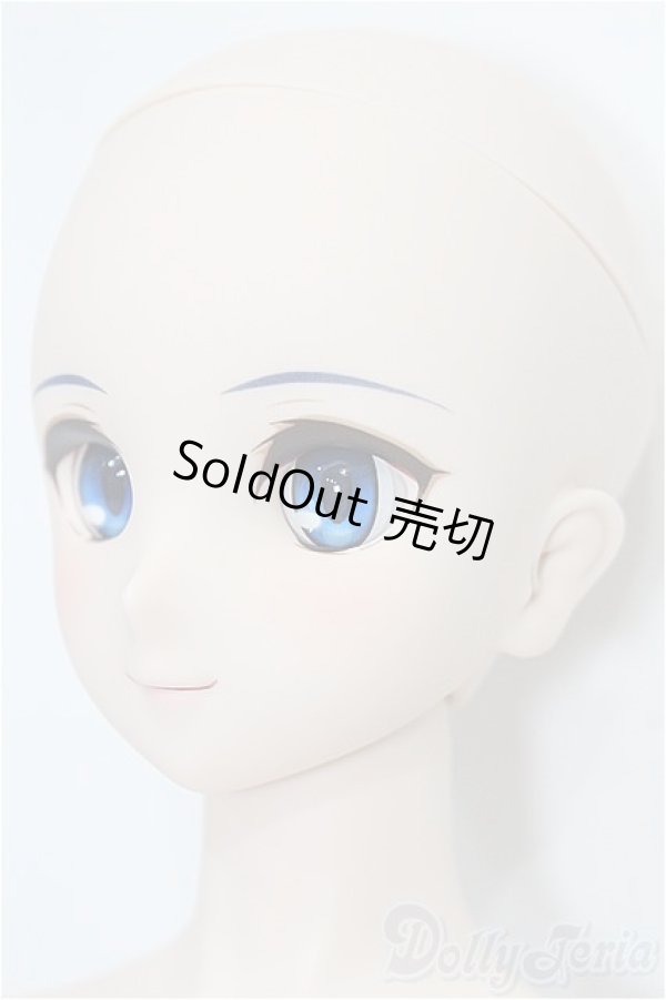 画像3: DD/シエル　月姫 -A piece of blue glass moon- S-25-11-23-051-TO-ZS (3)