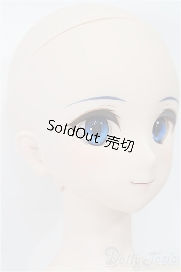 画像4: DD/シエル　月姫 -A piece of blue glass moon- S-25-11-23-051-TO-ZS (4)