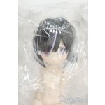 画像: 一万回の脱出計画/ネコ Y-25-12-03-009-TO-ZY