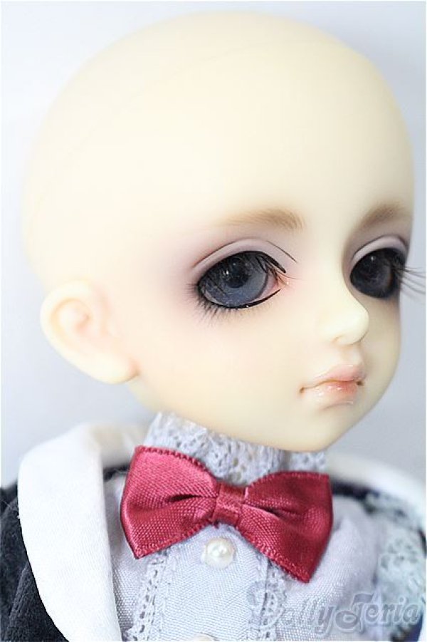 画像5: 幼SD/ピッコロ　クラウンド ホワイト キング S-25-11-23-151-TO-ZS (5)