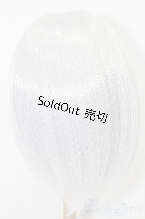画像2: 8-9inch/ウィッグ：FANTASTIC WORLD様製 S-25-11-23-249-TO-ZS (2)