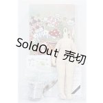 画像: TinyFox/1/6ボディ S-25-11-23-152-TO-ZS