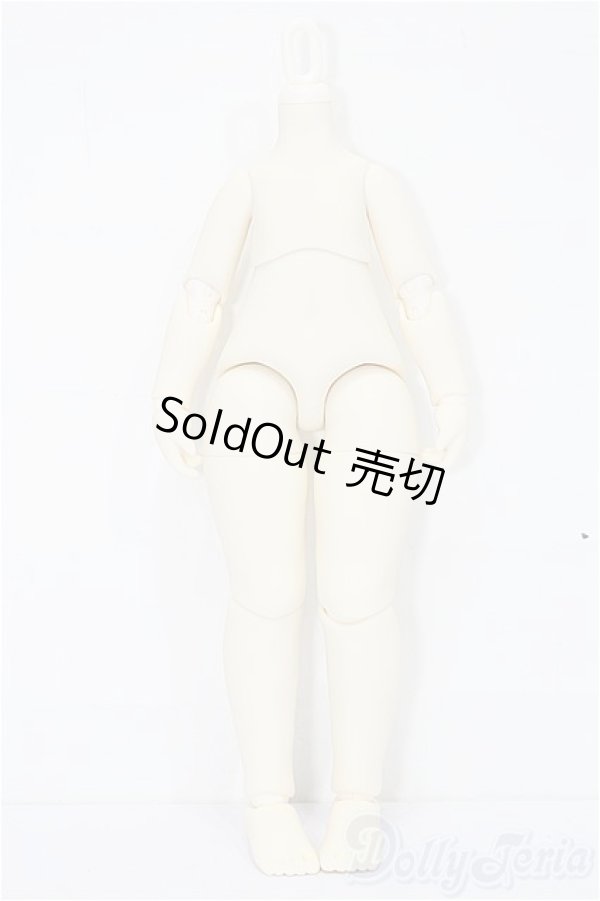 画像2: TinyFox/1/6ボディ S-25-11-23-152-TO-ZS (2)