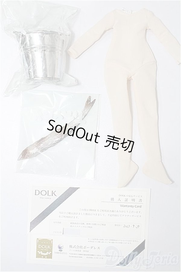 画像4: TinyFox/1/6ボディ S-25-11-23-152-TO-ZS (4)