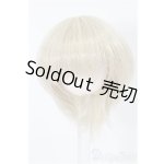 画像: 5inch/ウィッグ S-25-11-30-120-TO-ZS