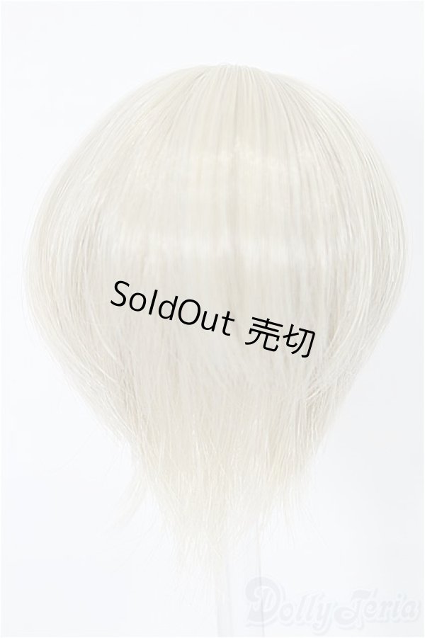 画像2: 5inch/ウィッグ S-25-11-30-120-TO-ZS (2)