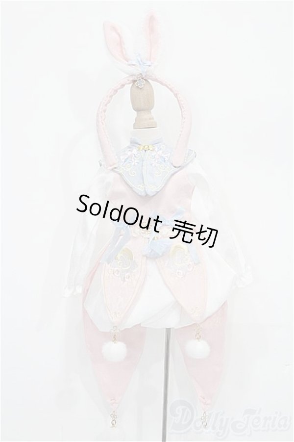 画像1: SDM＆MSD/OF:衣装セット S-25-11-30-220-TO-ZS (1)