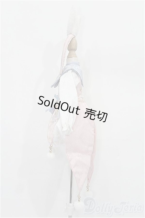 画像2: SDM＆MSD/OF:衣装セット S-25-11-30-220-TO-ZS (2)