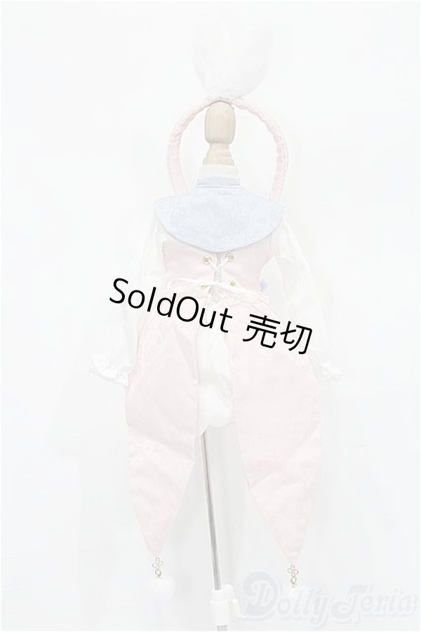 画像3: SDM＆MSD/OF:衣装セット S-25-11-30-220-TO-ZS (3)