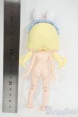 画像3: SIMONTOYS LIRORO(リロロ)/童話の家シリーズ 不思議の国のアリス Y-25-12-10-110-TO-ZY (3)