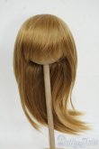 画像1: 8-9inch/ウィッグ Y-25-12-17-057-TO-ZY (1)