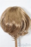 画像2: 8-9inch/ウィッグ S-25-12-07-284-TO-ZS (2)