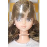 画像: キャッスル/サヤカ 2022年11月DS大阪モデル(モデルNO.12919) S-25-11-30-151-TO-ZS