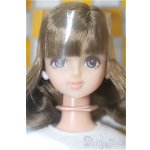 画像: キャッスル/サヤカ 2022年11月DS大阪モデル(モデルNO.12919) S-25-11-30-152-TO-ZS