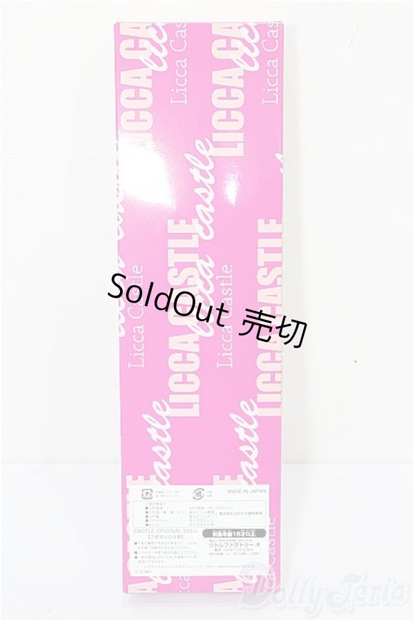 画像3: キャッスル/スイーツちゃん 2016年9月DS47モデル(モデルNo.11410) S-25-11-30-176-TO-ZS (3)