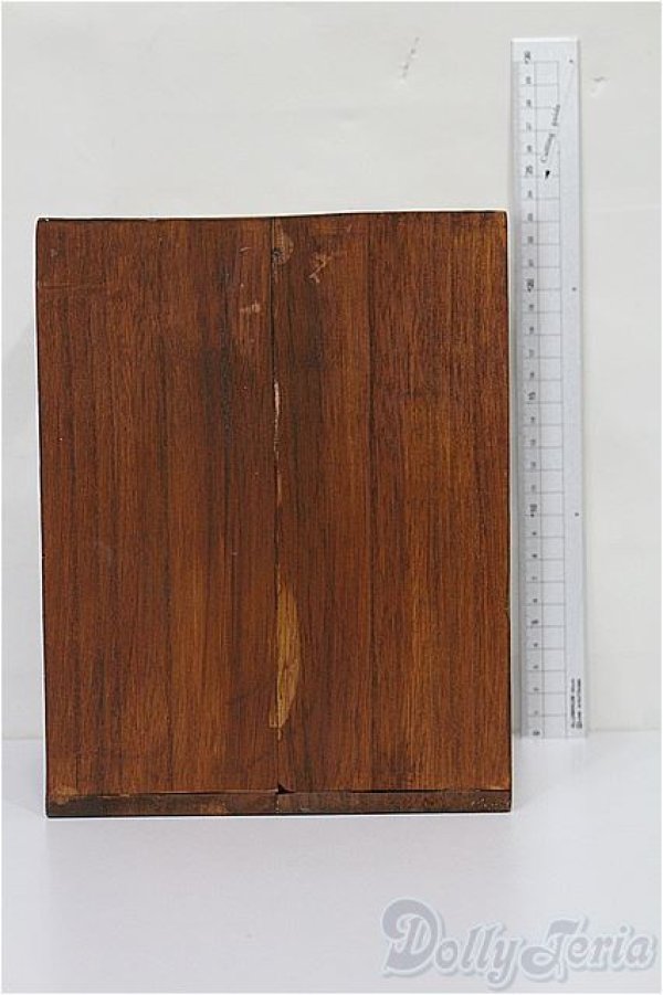 画像3: 1/6サイズドール/ミニチュア S-25-11-30-068-TO-ZS (3)