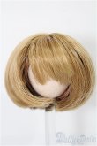 画像1: 5inch/ウィッグ S-25-11-30-119-TO-ZS (1)