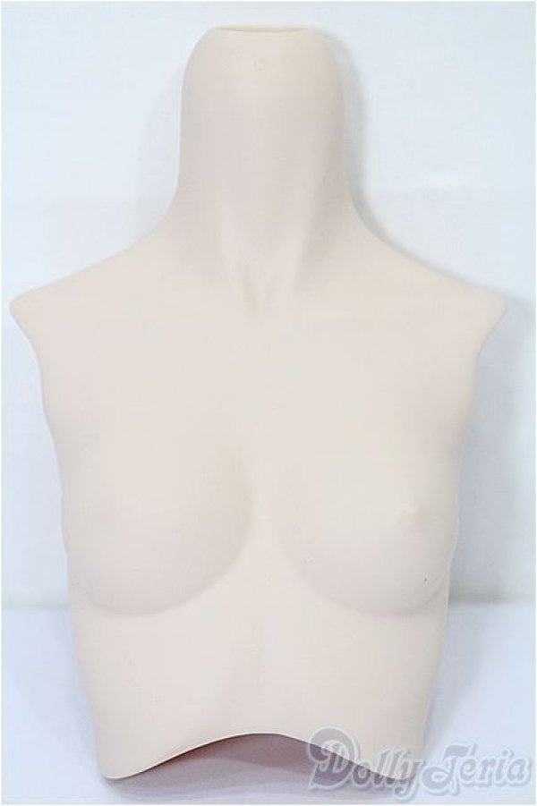 画像1: DD/上半身パーツ S-25-11-30-254-TO-ZS (1)