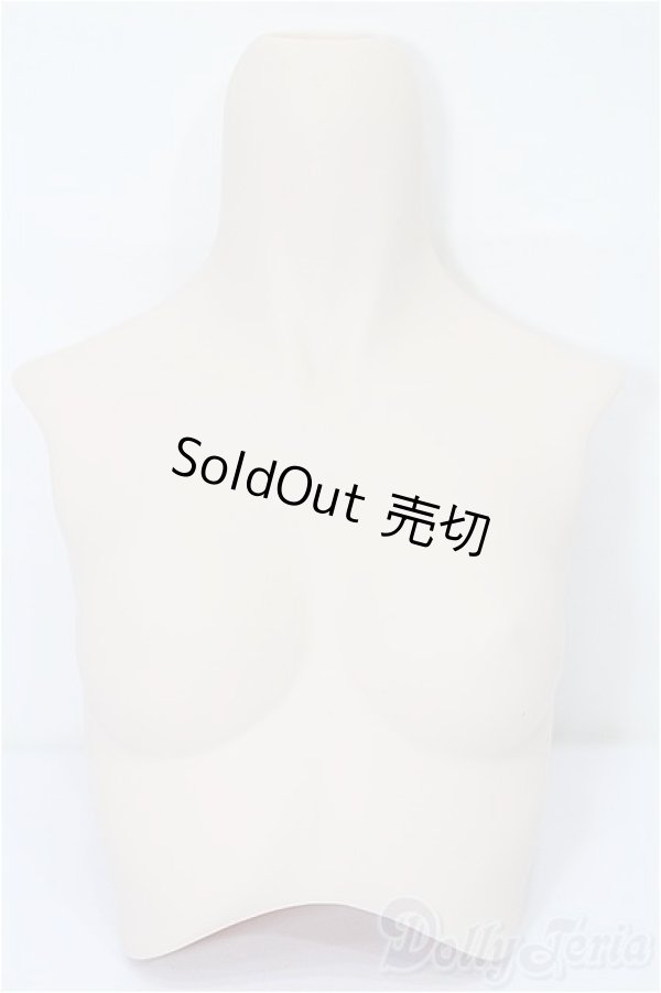 画像1: DD/上半身パーツ S-25-11-30-254-TO-ZS (1)